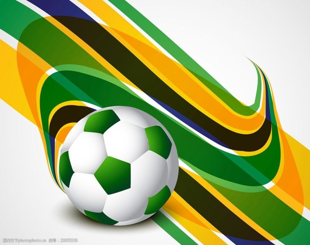 运动生涯 运动生涯