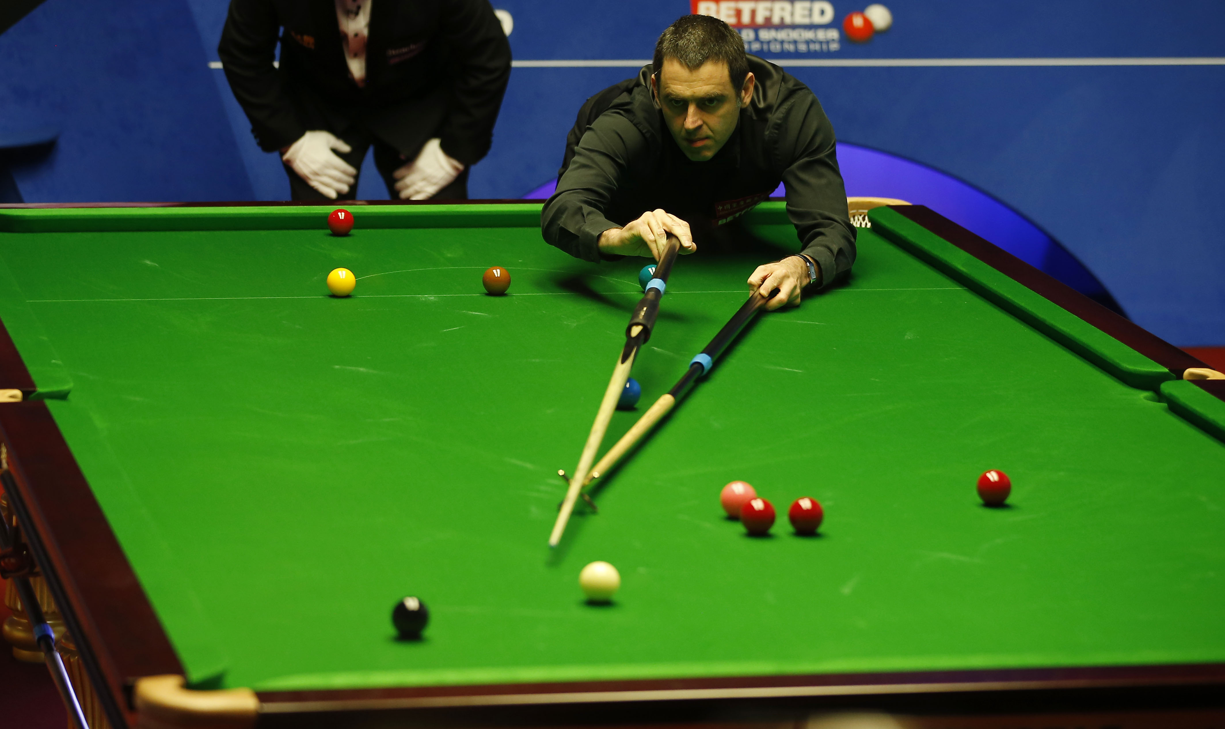 提供不止一 提供不止一